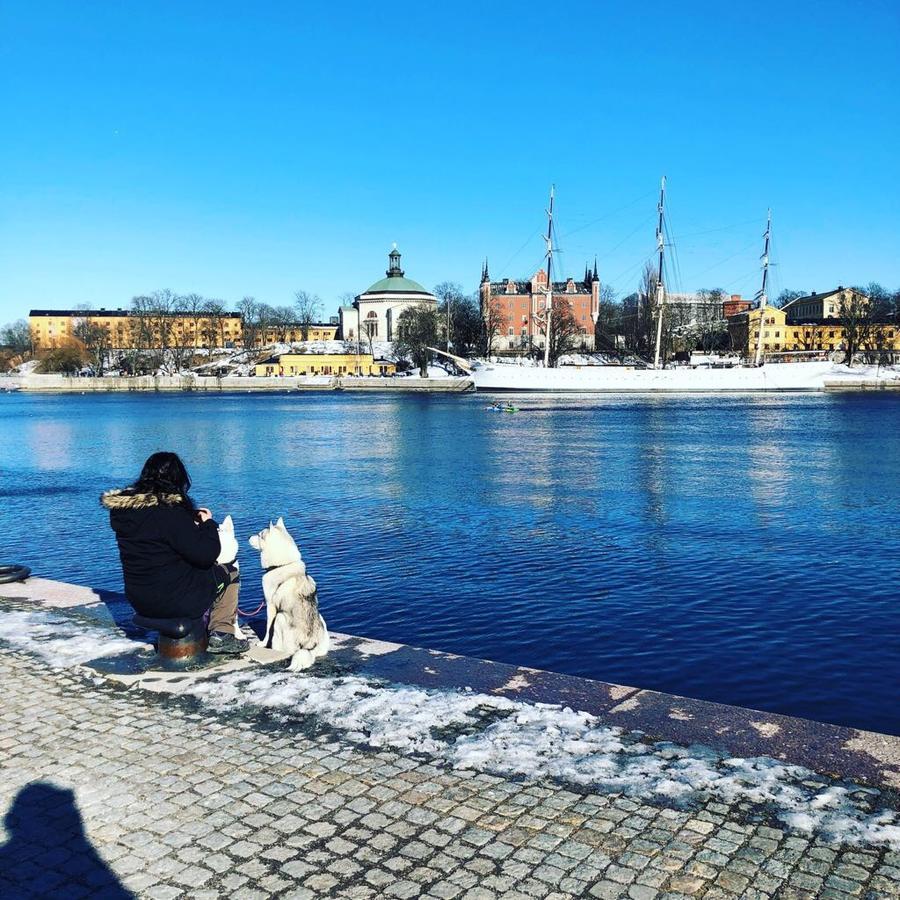 Dockside Hostel Old Town Stockholm Buitenkant foto